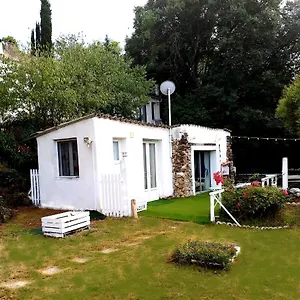 Coccinelle Appartement